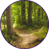 foret 160